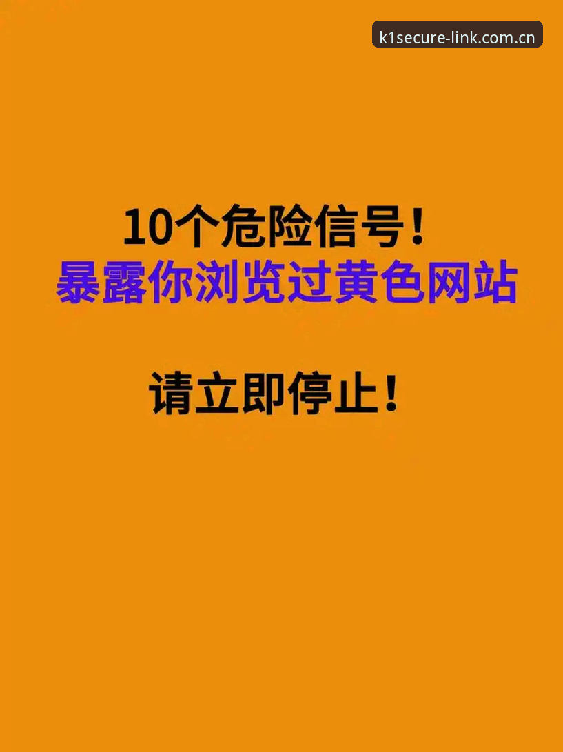 揭秘K1娱乐平台登录网址背后的真相：90%用户不知道的安全通道